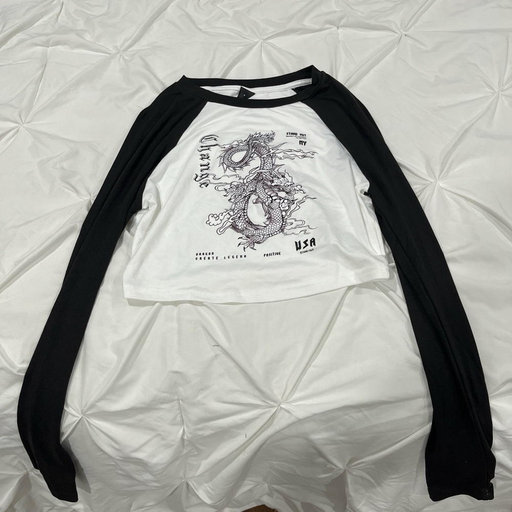 dragon graphic long sleeve SHEIN tee (cropped)